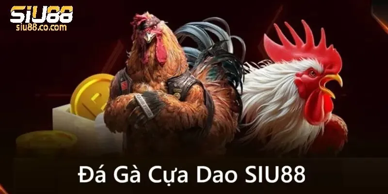 Các loại hình đá gà online Siu88 siêu cuốn hút