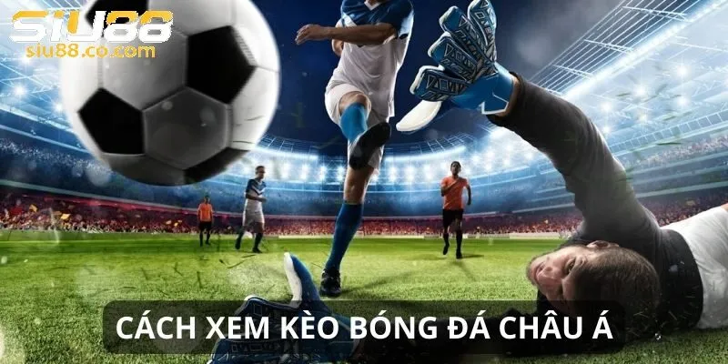 Mẹo bắt kèo châu Á chuẩn xác 100%